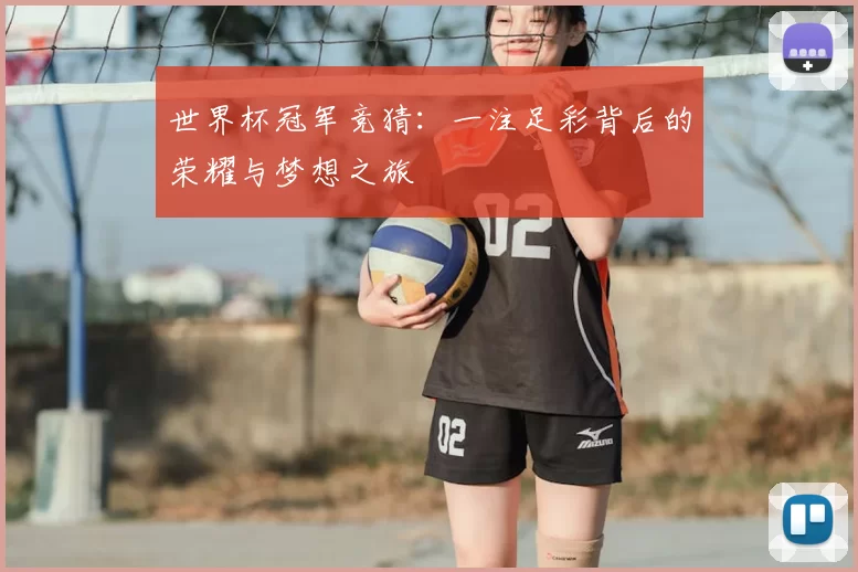 世界杯冠军竞猜：一注足彩背后的荣耀与梦想之旅