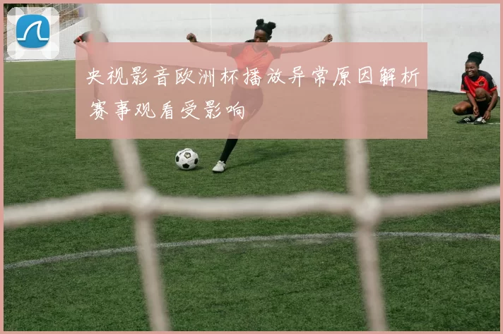央视影音欧洲杯播放异常原因解析 赛事观看受影响