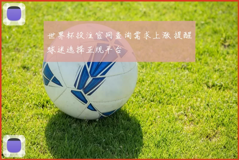 世界杯投注官网查询需求上涨 提醒球迷选择正规平台
