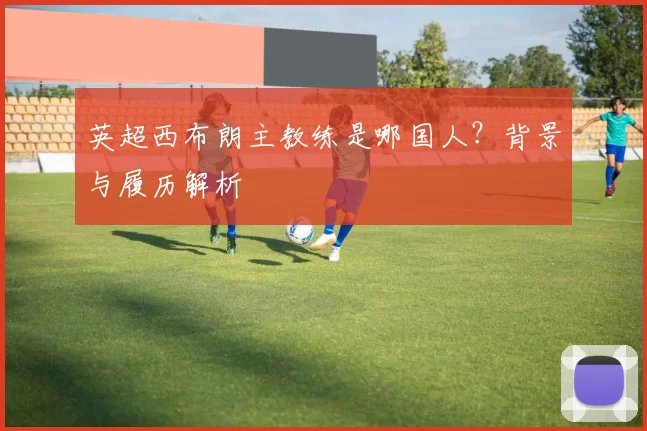 英超西布朗主教练是哪国人?背景与履历解析