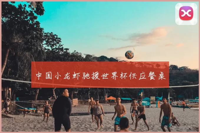 中国小龙虾驰援世界杯供应餐桌