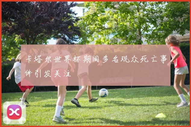 卡塔尔世界杯期间多名观众死亡事件引发关注