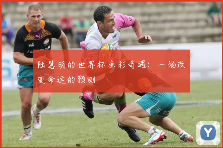 陆慧明的世界杯竞彩奇遇：一场改变命运的预测