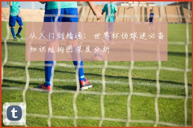 从入门到精通:世界杯伪球迷必备知识结构图深度分析