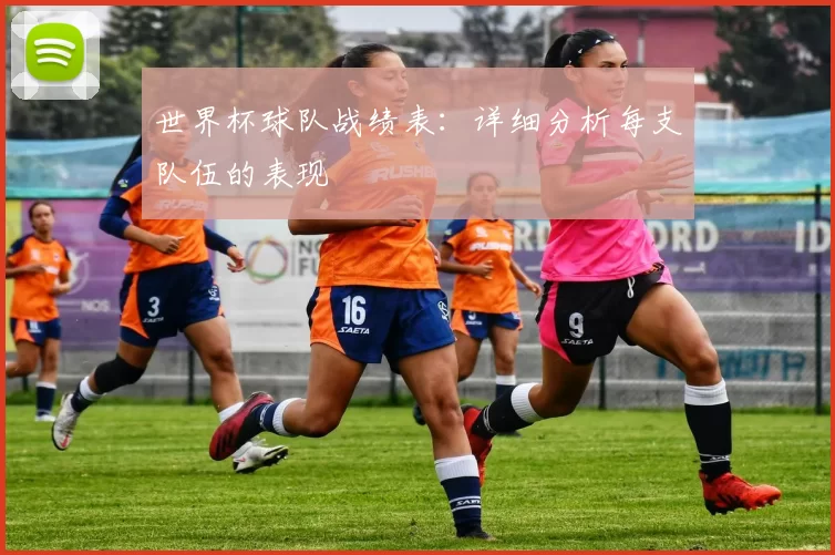 世界杯球队战绩表：详细分析每支队伍的表现