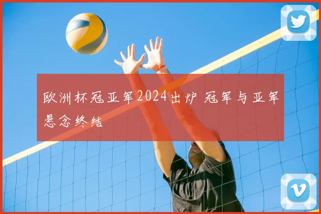 欧洲杯冠亚军2024出炉 冠军与亚军悬念终结