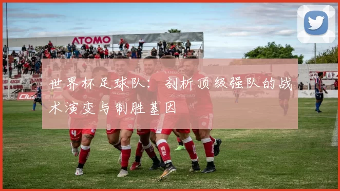 世界杯足球队：剖析顶级强队的战术演变与制胜基因